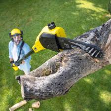 Best Tree Mulching  in Manchester, GA